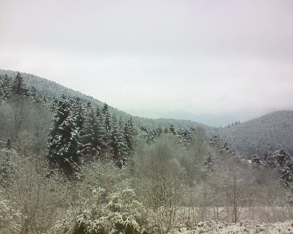 Le petit ballon vu depuis le Domaine Langmatt à Murbach le 19.02.2018 à 13:15 Le petit ballon (Alsace, Vosges) le 19.02.2018 à 13:15