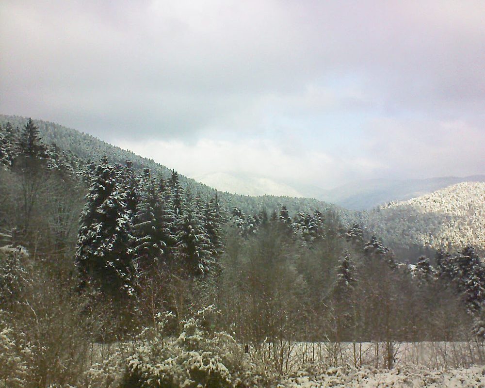 Le petit ballon vu depuis le Domaine Langmatt à Murbach le 21.02.2018 à 11:15 Le petit ballon (Alsace, Vosges) le 21.02.2018 à 11:15