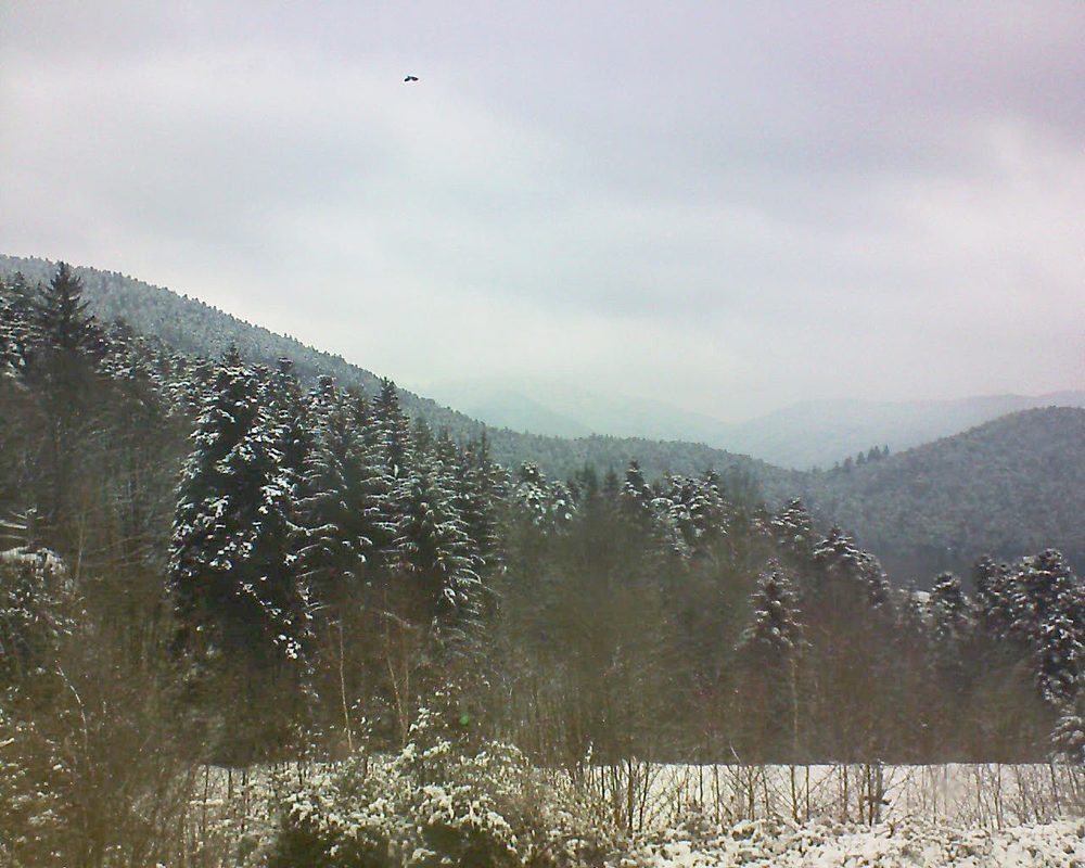 Le petit ballon vu depuis le Domaine Langmatt à Murbach le 22.02.2018 à 13:30 Le petit ballon (Alsace, Vosges) le 22.02.2018 à 13:30