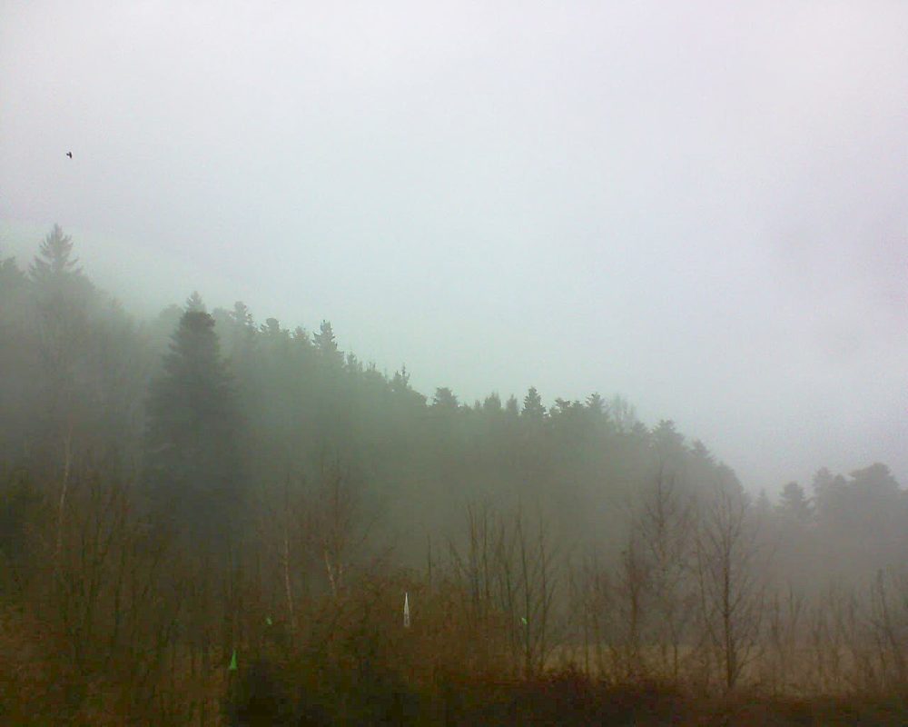 Le petit ballon vu depuis le Domaine Langmatt à Murbach le 10.03.2018 à 09:15 Le petit ballon (Alsace, Vosges) le 10.03.2018 à 09:15