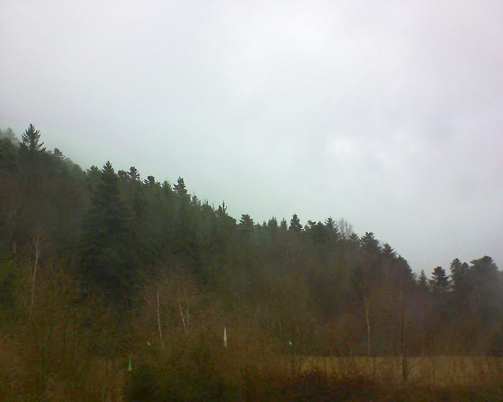 Le petit ballon vu depuis le Domaine Langmatt à Murbach le 10.03.2018 à 12:45 Le petit ballon (Alsace, Vosges) le 10.03.2018 à 12:45