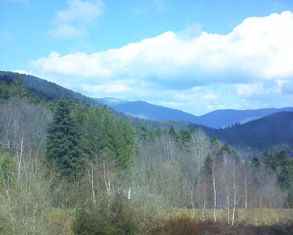 Le petit ballon vu depuis le Domaine Langmatt à Murbach le 14.03.2018 à 12:00 Le petit ballon (Alsace, Vosges) le 14.03.2018 à 12:00