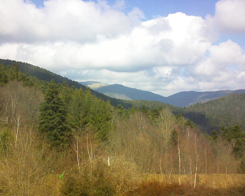Le petit ballon vu depuis le Domaine Langmatt à Murbach le 14.03.2018 à 12:45 Le petit ballon (Alsace, Vosges) le 14.03.2018 à 12:45
