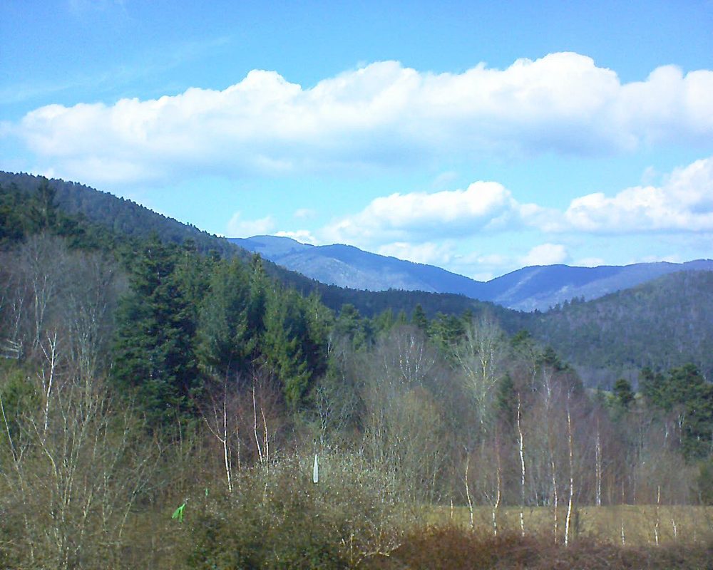 Le petit ballon vu depuis le Domaine Langmatt à Murbach le 14.03.2018 à 14:15 Le petit ballon (Alsace, Vosges) le 14.03.2018 à 14:15