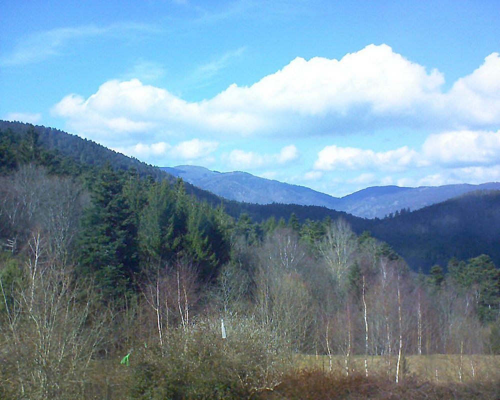 Le petit ballon vu depuis le Domaine Langmatt à Murbach le 14.03.2018 à 14:45 Le petit ballon (Alsace, Vosges) le 14.03.2018 à 14:45
