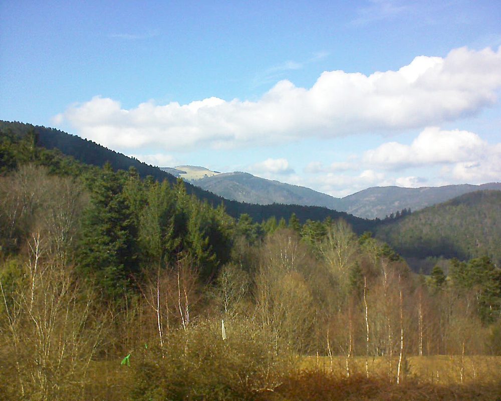 Le petit ballon vu depuis le Domaine Langmatt à Murbach le 14.03.2018 à 15:00 Le petit ballon (Alsace, Vosges) le 14.03.2018 à 15:00