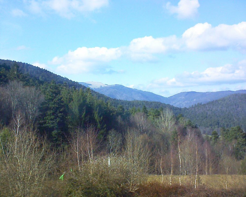 Le petit ballon vu depuis le Domaine Langmatt à Murbach le 14.03.2018 à 15:45 Le petit ballon (Alsace, Vosges) le 14.03.2018 à 15:45