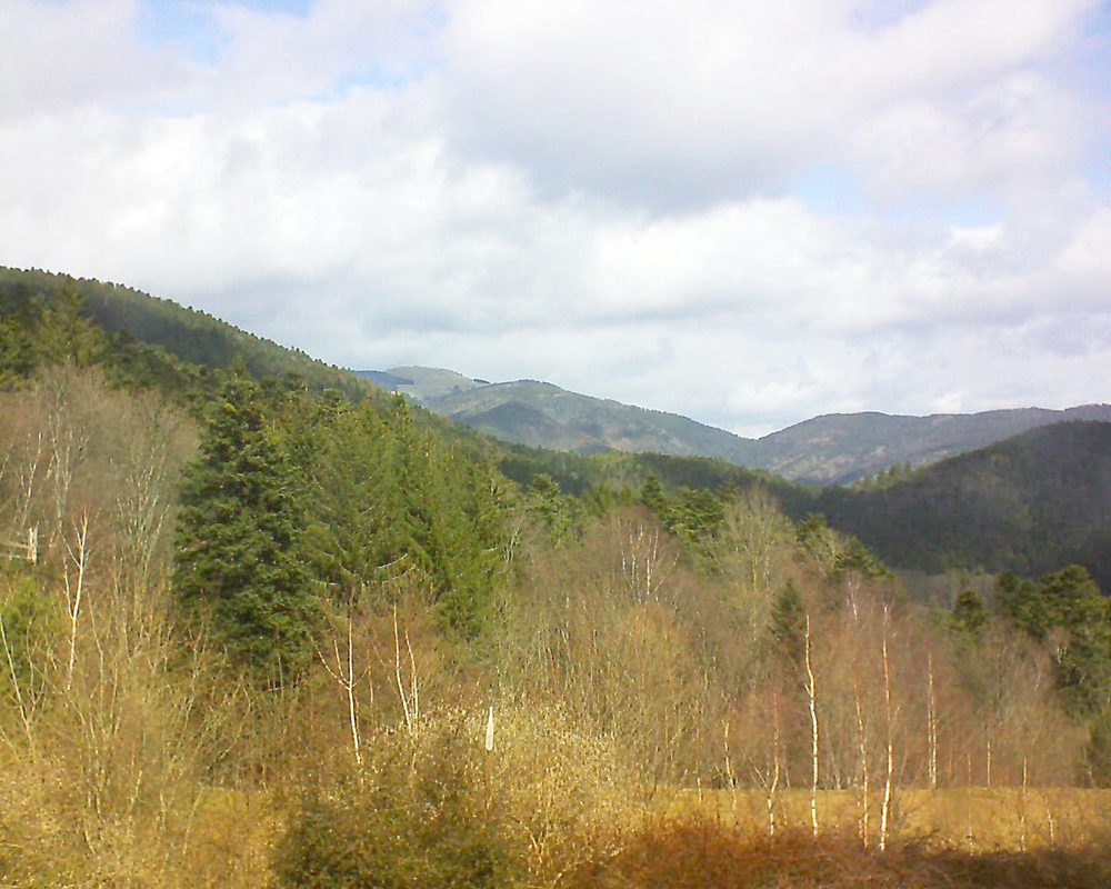 Le petit ballon vu depuis le Domaine Langmatt à Murbach le 16.03.2018 à 11:45 Le petit ballon (Alsace, Vosges) le 16.03.2018 à 11:45