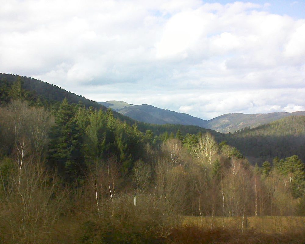 Le petit ballon vu depuis le Domaine Langmatt à Murbach le 16.03.2018 à 15:45 Le petit ballon (Alsace, Vosges) le 16.03.2018 à 15:45