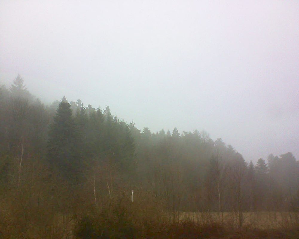 Le petit ballon vu depuis le Domaine Langmatt à Murbach le 17.03.2018 à 15:45 Le petit ballon (Alsace, Vosges) le 17.03.2018 à 15:45