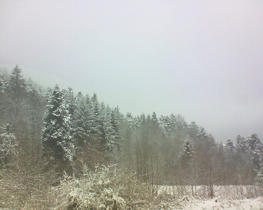 Le petit ballon vu depuis le Domaine Langmatt à Murbach le 18.03.2018 à 12:30 Le petit ballon (Alsace, Vosges) le 18.03.2018 à 12:30