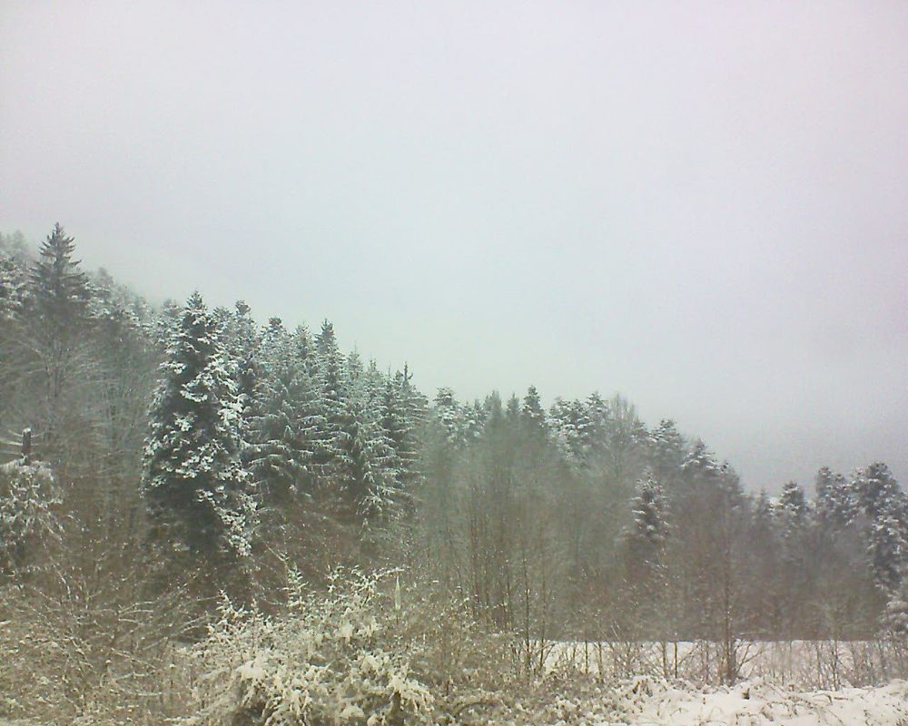 Le petit ballon vu depuis le Domaine Langmatt à Murbach le 18.03.2018 à 12:45 Le petit ballon (Alsace, Vosges) le 18.03.2018 à 12:45