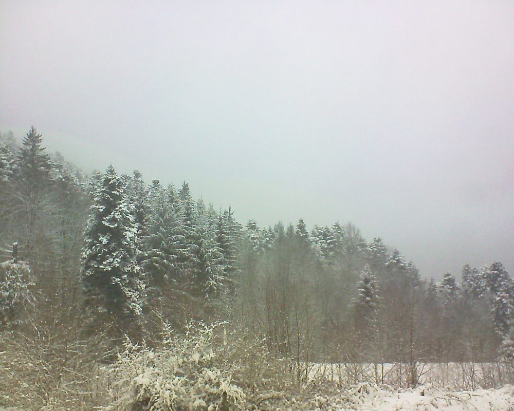 Le petit ballon vu depuis le Domaine Langmatt à Murbach le 18.03.2018 à 14:00 Le petit ballon (Alsace, Vosges) le 18.03.2018 à 14:00