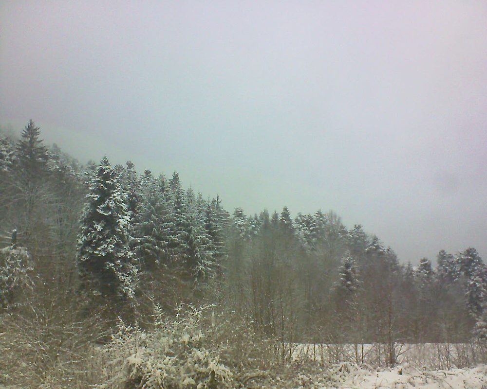 Le petit ballon vu depuis le Domaine Langmatt à Murbach le 18.03.2018 à 14:30 Le petit ballon (Alsace, Vosges) le 18.03.2018 à 14:30