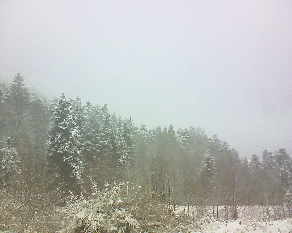 Le petit ballon vu depuis le Domaine Langmatt à Murbach le 19.03.2018 à 11:15 Le petit ballon (Alsace, Vosges) le 19.03.2018 à 11:15