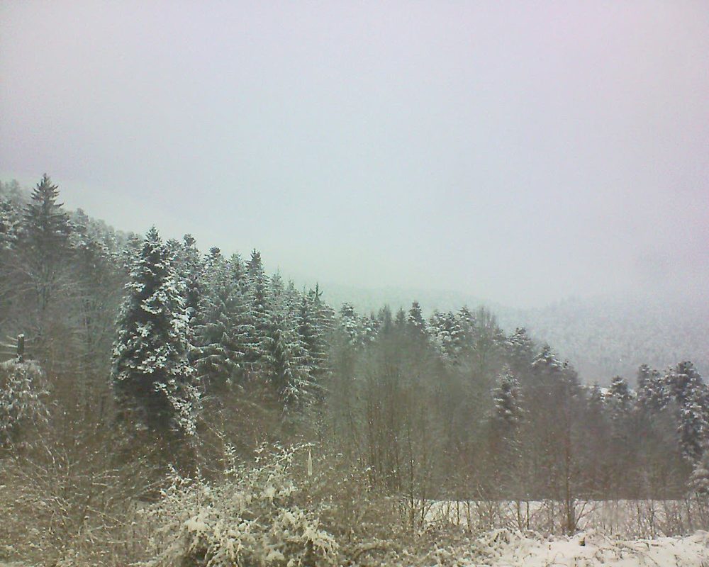 Le petit ballon vu depuis le Domaine Langmatt à Murbach le 19.03.2018 à 12:15 Le petit ballon (Alsace, Vosges) le 19.03.2018 à 12:15
