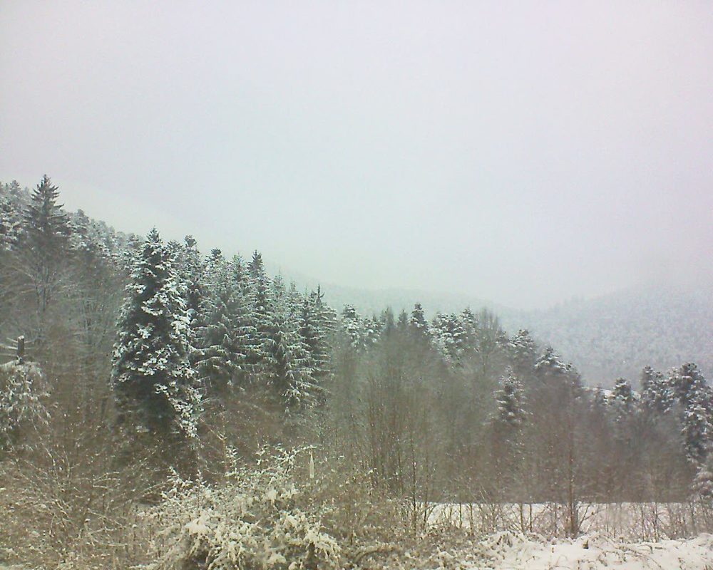 Le petit ballon vu depuis le Domaine Langmatt à Murbach le 19.03.2018 à 12:30 Le petit ballon (Alsace, Vosges) le 19.03.2018 à 12:30
