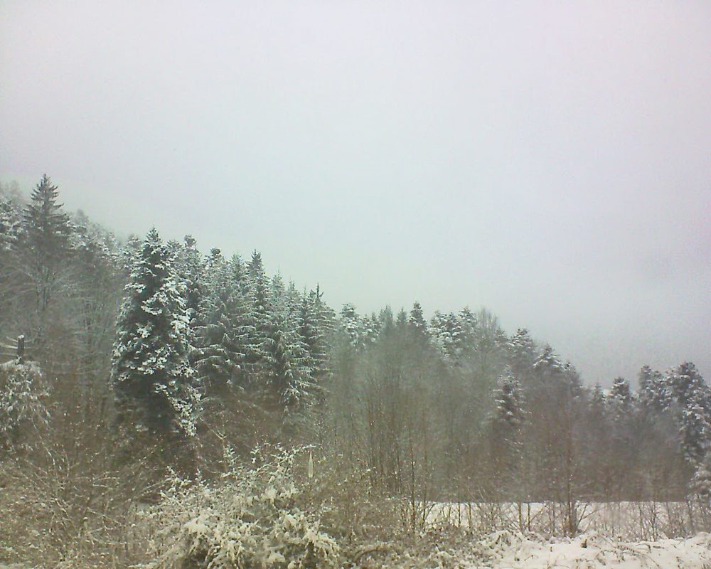 Le petit ballon vu depuis le Domaine Langmatt à Murbach le 19.03.2018 à 15:15 Le petit ballon (Alsace, Vosges) le 19.03.2018 à 15:15