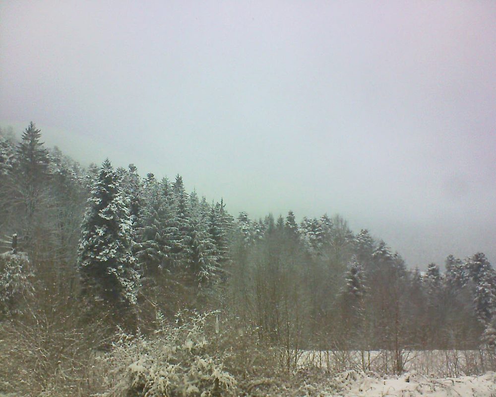 Le petit ballon vu depuis le Domaine Langmatt à Murbach le 19.03.2018 à 15:30 Le petit ballon (Alsace, Vosges) le 19.03.2018 à 15:30