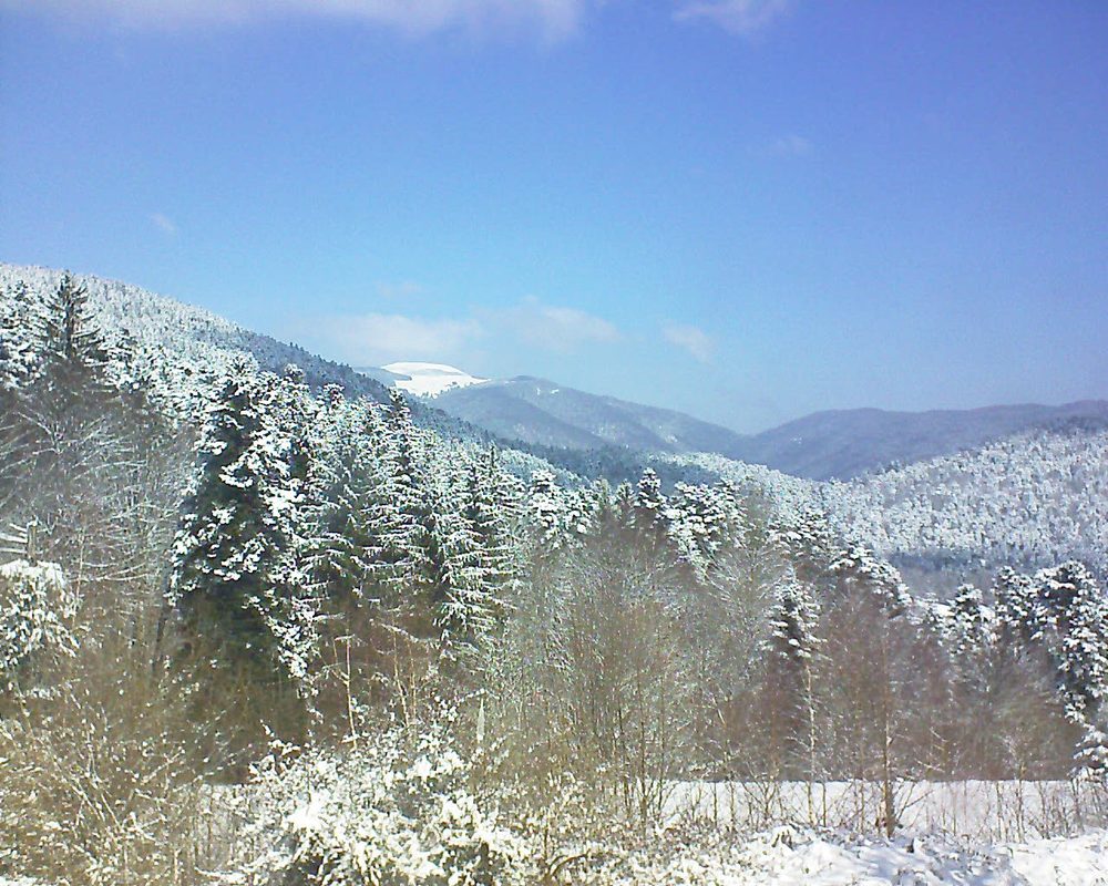 Le petit ballon vu depuis le Domaine Langmatt à Murbach le 20.03.2018 à 11:15 Le petit ballon (Alsace, Vosges) le 20.03.2018 à 11:15