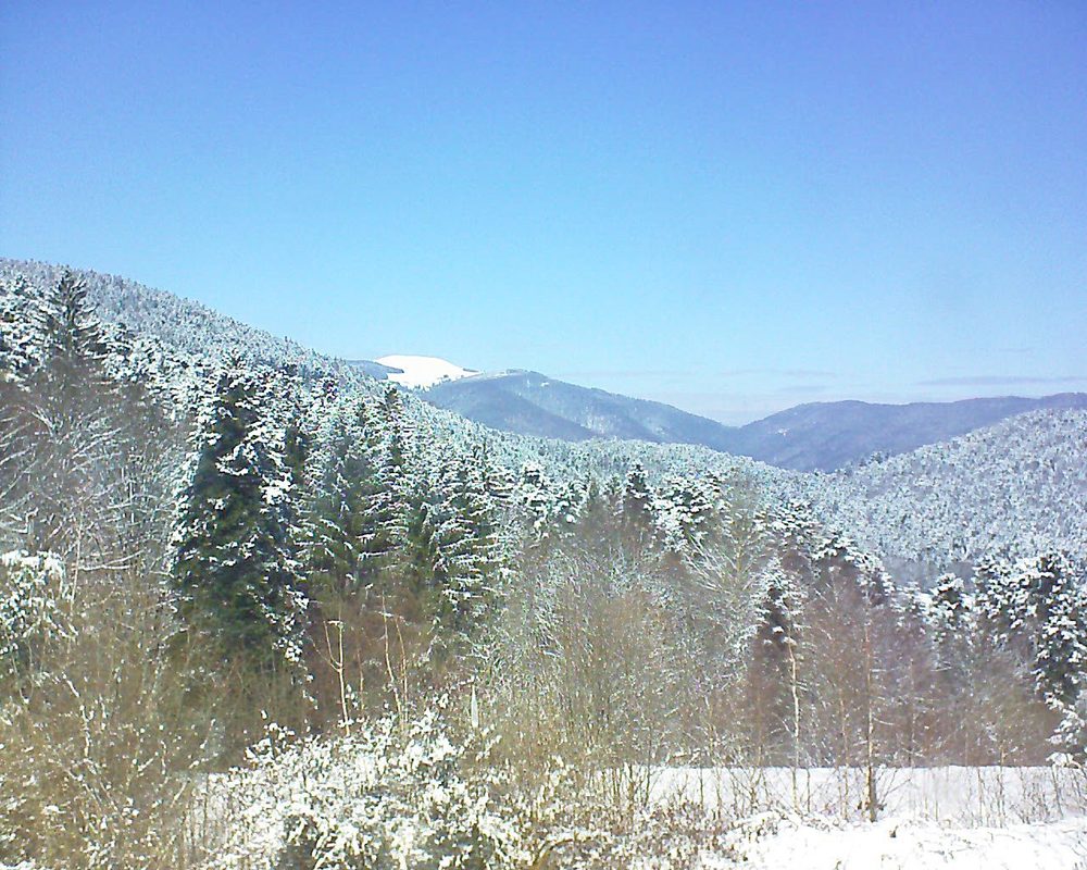 Le petit ballon vu depuis le Domaine Langmatt à Murbach le 20.03.2018 à 12:45 Le petit ballon (Alsace, Vosges) le 20.03.2018 à 12:45