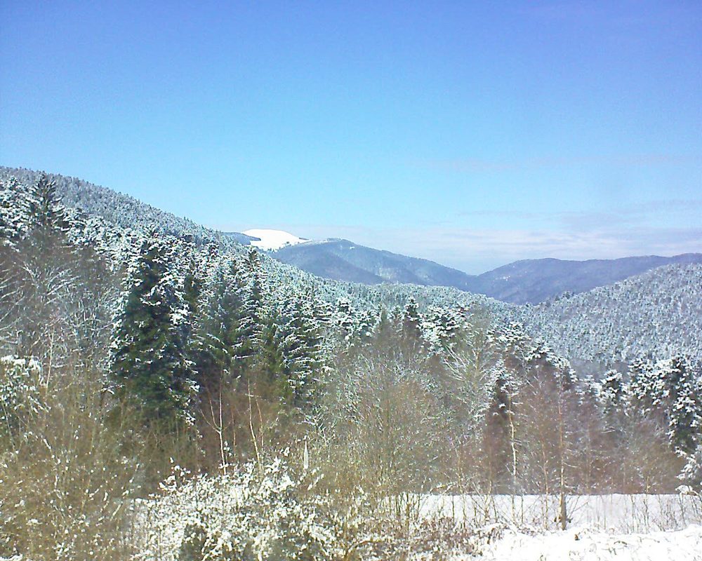 Le petit ballon vu depuis le Domaine Langmatt à Murbach le 20.03.2018 à 13:15 Le petit ballon (Alsace, Vosges) le 20.03.2018 à 13:15