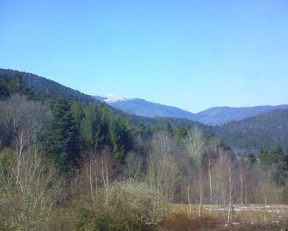 Le petit ballon vu depuis le Domaine Langmatt à Murbach le 24.03.2018 à 15:15 Le petit ballon (Alsace, Vosges) le 24.03.2018 à 15:15