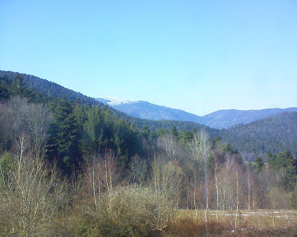Le petit ballon vu depuis le Domaine Langmatt à Murbach le 24.03.2018 à 15:45 Le petit ballon (Alsace, Vosges) le 24.03.2018 à 15:45