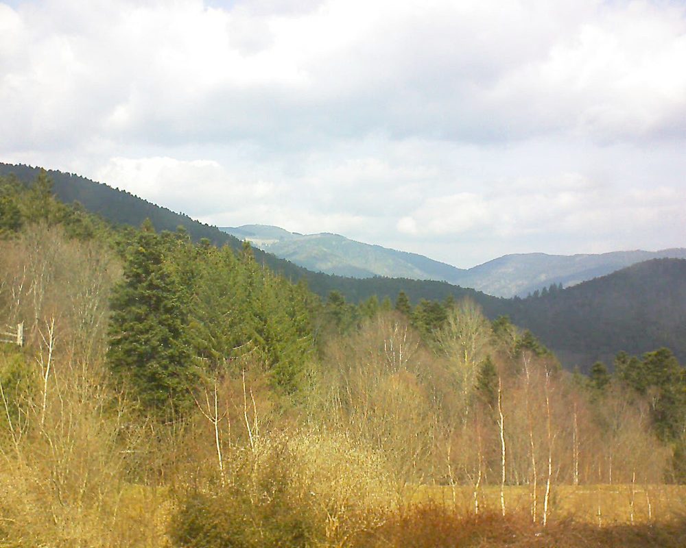 Le petit ballon vu depuis le Domaine Langmatt à Murbach le 25.03.2018 à 13:00 Le petit ballon (Alsace, Vosges) le 25.03.2018 à 13:00