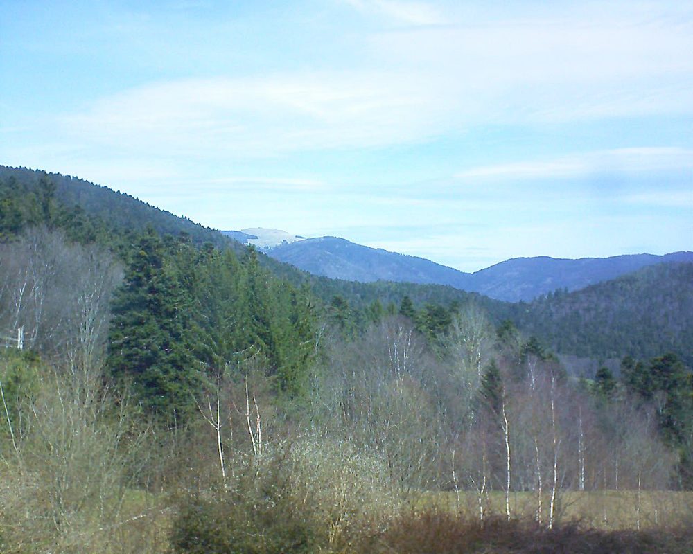 Le petit ballon vu depuis le Domaine Langmatt à Murbach le 03.04.2018 à 12:15 Le petit ballon (Alsace, Vosges) le 03.04.2018 à 12:15