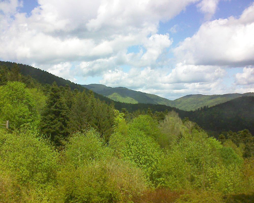 Le petit ballon vu depuis le Domaine Langmatt à Murbach le 26.04.2018 à 13:15 Le petit ballon (Alsace, Vosges) le 26.04.2018 à 13:15
