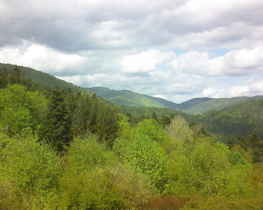 Le petit ballon vu depuis le Domaine Langmatt à Murbach le 26.04.2018 à 14:30 Le petit ballon (Alsace, Vosges) le 26.04.2018 à 14:30