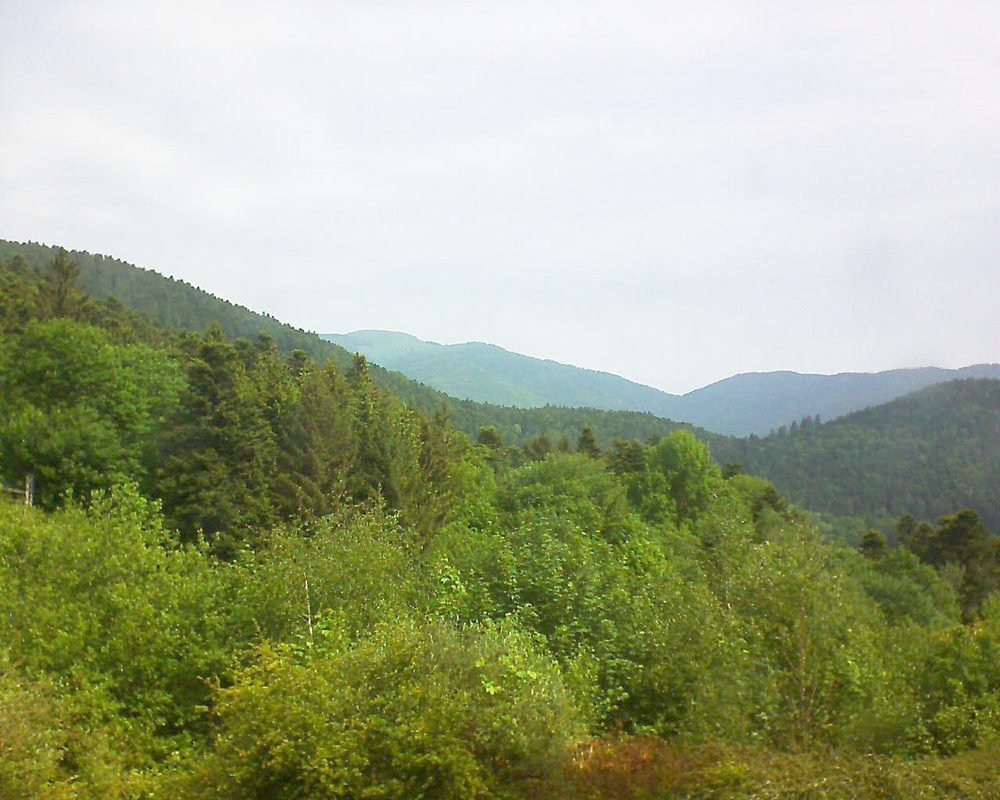 Le petit ballon vu depuis le Domaine Langmatt à Murbach le 19.05.2018 à 11:00 Le petit ballon (Alsace, Vosges) le 19.05.2018 à 11:00