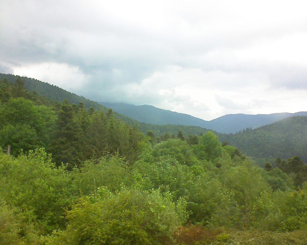Le petit ballon vu depuis le Domaine Langmatt à Murbach le 20.05.2018 à 11:30 Le petit ballon (Alsace, Vosges) le 20.05.2018 à 11:30