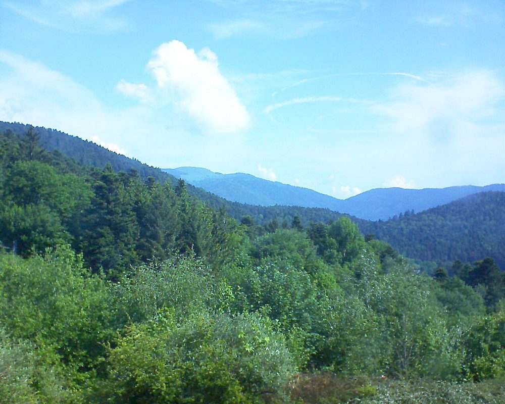 Le petit ballon vu depuis le Domaine Langmatt à Murbach le 22.05.2018 à 10:15 Le petit ballon (Alsace, Vosges) le 22.05.2018 à 10:15