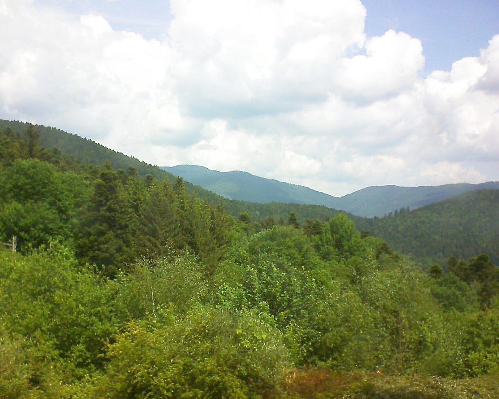 Le petit ballon vu depuis le Domaine Langmatt à Murbach le 22.05.2018 à 12:00 Le petit ballon (Alsace, Vosges) le 22.05.2018 à 12:00