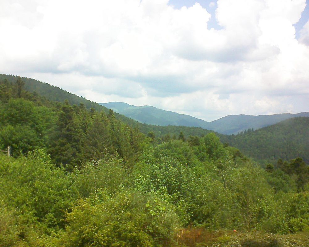 Le petit ballon vu depuis le Domaine Langmatt à Murbach le 22.05.2018 à 12:15 Le petit ballon (Alsace, Vosges) le 22.05.2018 à 12:15