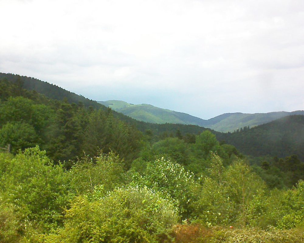 Le petit ballon vu depuis le Domaine Langmatt à Murbach le 22.05.2018 à 14:15 Le petit ballon (Alsace, Vosges) le 22.05.2018 à 14:15