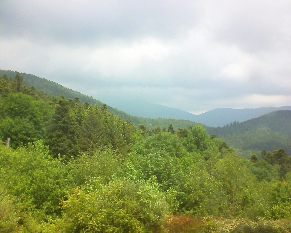 Le petit ballon vu depuis le Domaine Langmatt à Murbach le 23.05.2018 à 12:30 Le petit ballon (Alsace, Vosges) le 23.05.2018 à 12:30