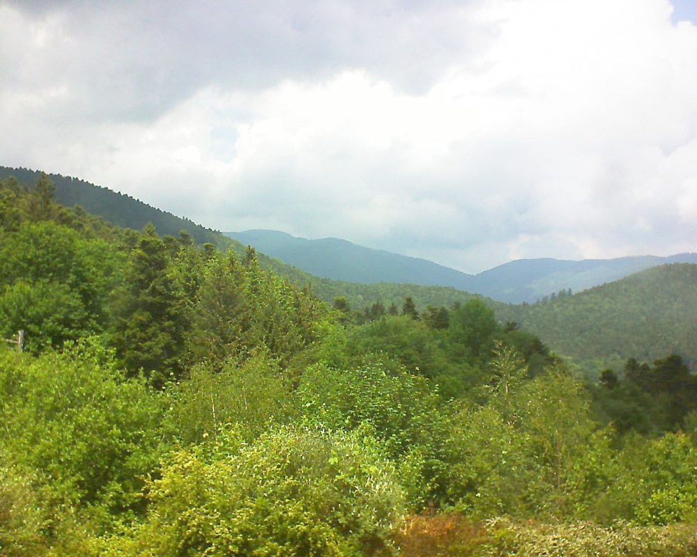 Le petit ballon vu depuis le Domaine Langmatt à Murbach le 24.05.2018 à 13:30 Le petit ballon (Alsace, Vosges) le 24.05.2018 à 13:30