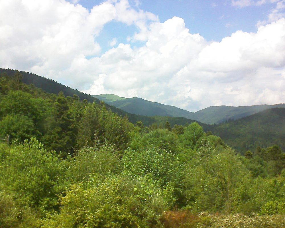 Le petit ballon vu depuis le Domaine Langmatt à Murbach le 24.05.2018 à 14:45 Le petit ballon (Alsace, Vosges) le 24.05.2018 à 14:45