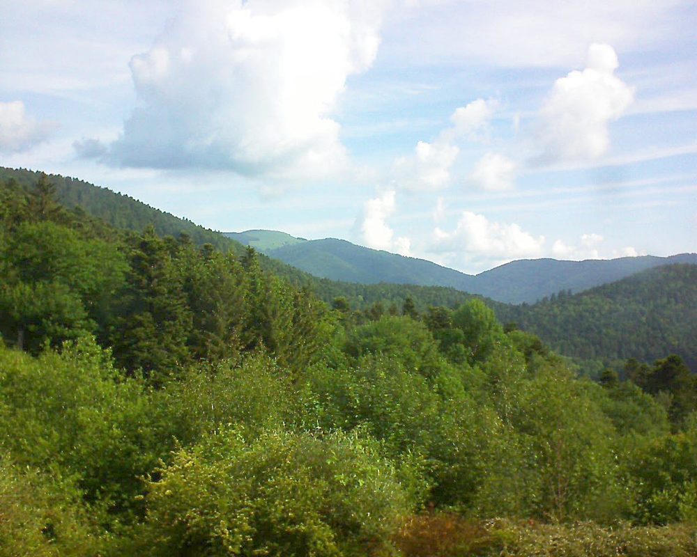 Le petit ballon vu depuis le Domaine Langmatt à Murbach le 25.05.2018 à 09:45 Le petit ballon (Alsace, Vosges) le 25.05.2018 à 09:45