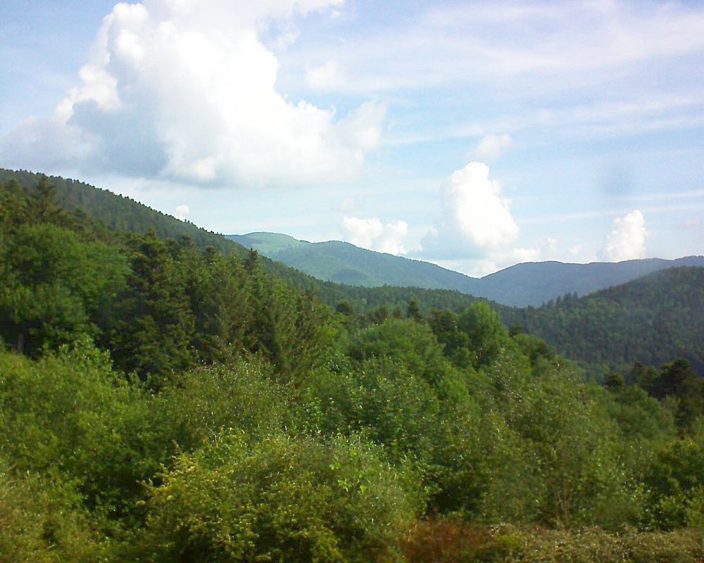 Le petit ballon vu depuis le Domaine Langmatt à Murbach le 25.05.2018 à 10:00 Le petit ballon (Alsace, Vosges) le 25.05.2018 à 10:00