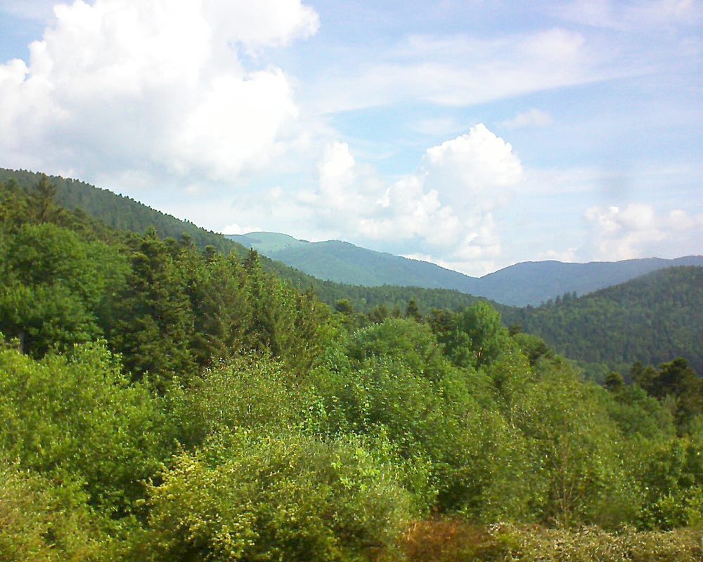 Le petit ballon vu depuis le Domaine Langmatt à Murbach le 25.05.2018 à 10:30 Le petit ballon (Alsace, Vosges) le 25.05.2018 à 10:30