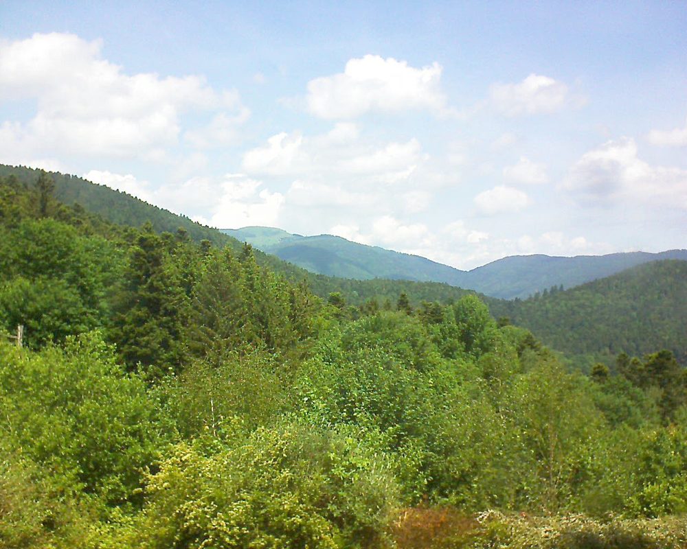 Le petit ballon vu depuis le Domaine Langmatt à Murbach le 25.05.2018 à 12:30 Le petit ballon (Alsace, Vosges) le 25.05.2018 à 12:30