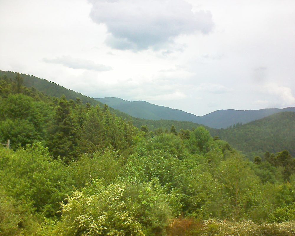 Le petit ballon vu depuis le Domaine Langmatt à Murbach le 27.05.2018 à 12:45 Le petit ballon (Alsace, Vosges) le 27.05.2018 à 12:45