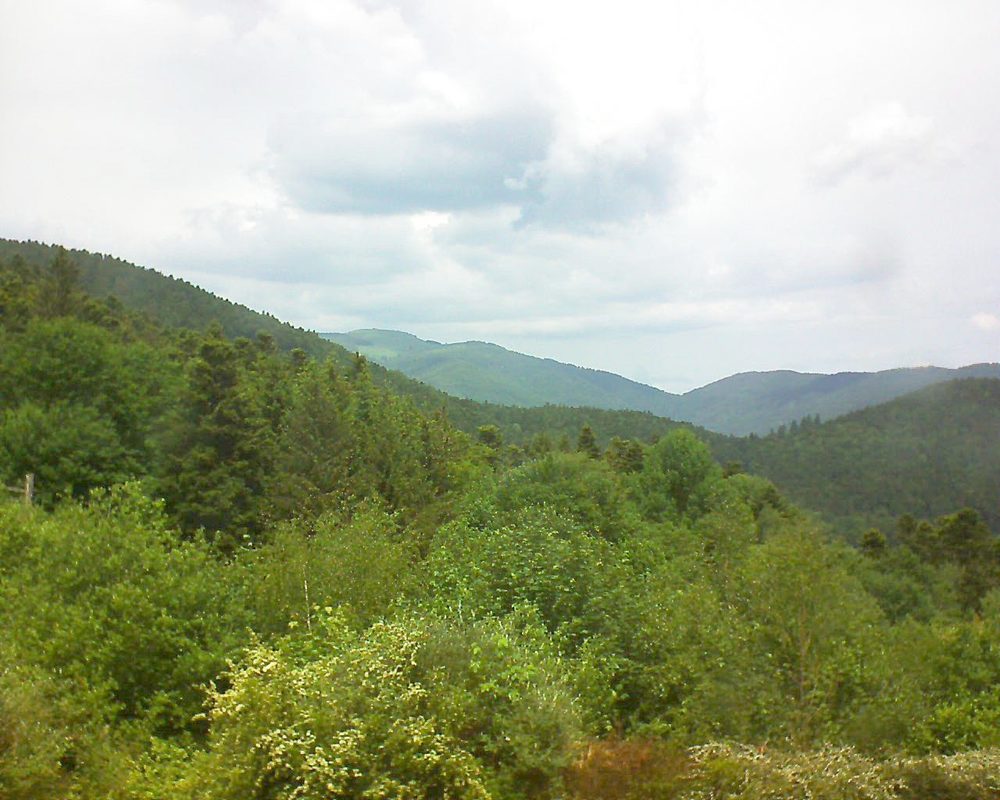 Le petit ballon vu depuis le Domaine Langmatt à Murbach le 27.05.2018 à 13:00 Le petit ballon (Alsace, Vosges) le 27.05.2018 à 13:00