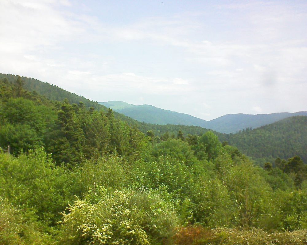 Le petit ballon vu depuis le Domaine Langmatt à Murbach le 28.05.2018 à 11:00 Le petit ballon (Alsace, Vosges) le 28.05.2018 à 11:00
