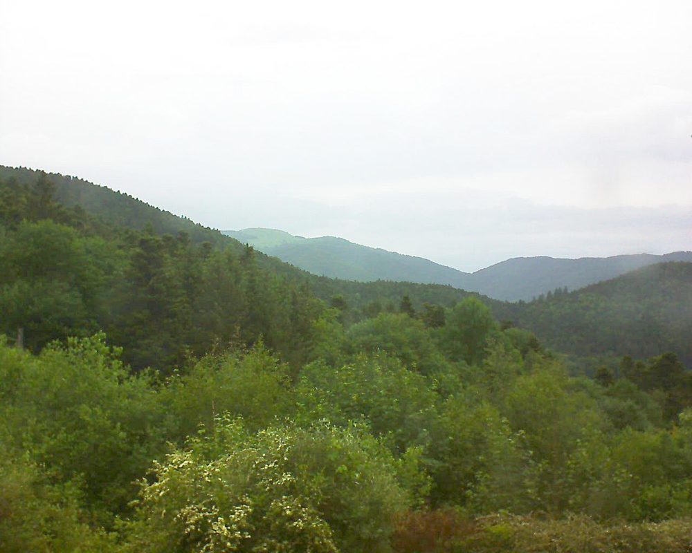 Le petit ballon vu depuis le Domaine Langmatt à Murbach le 29.05.2018 à 08:30 Le petit ballon (Alsace, Vosges) le 29.05.2018 à 08:30