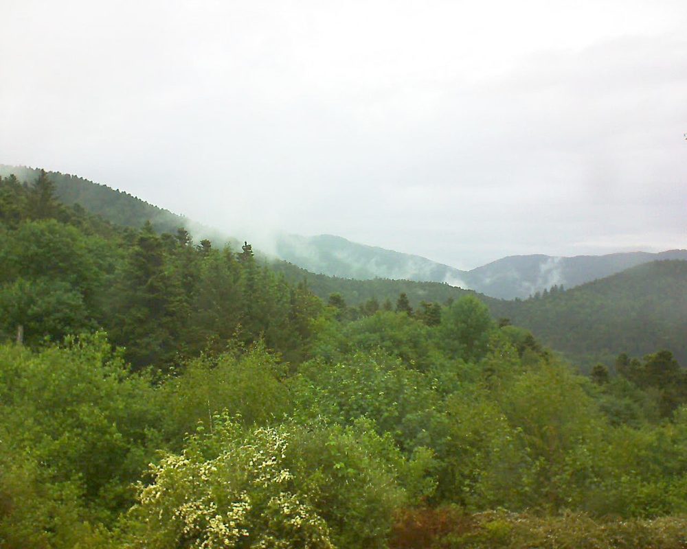 Le petit ballon vu depuis le Domaine Langmatt à Murbach le 29.05.2018 à 12:15 Le petit ballon (Alsace, Vosges) le 29.05.2018 à 12:15